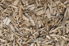 biomass boilers Priorswood